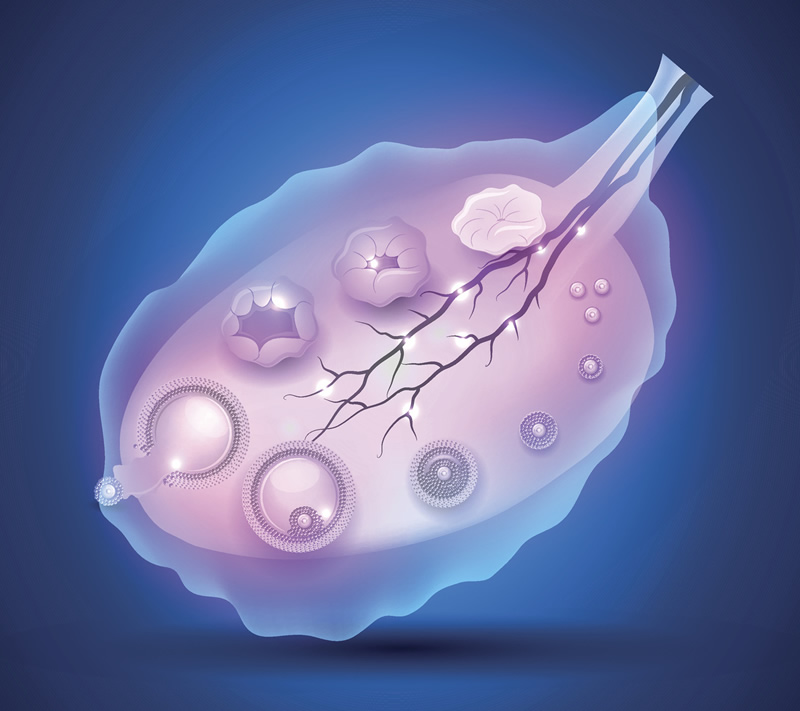 2026年长沙试管婴儿医院前十强名单发布：中信湘雅、湘雅医院等机构上榜，附三代试管费用与详解